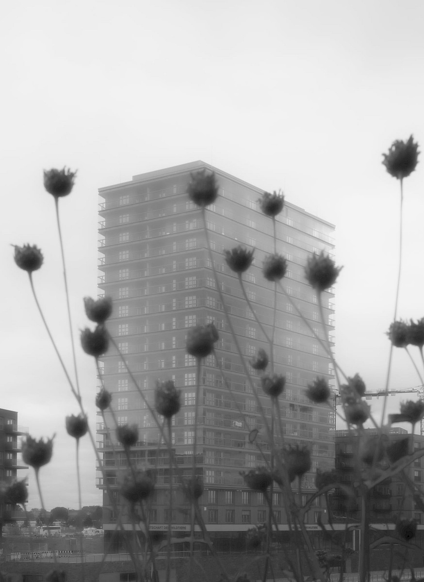Arbeiten – Ehsan Soheyli Rad